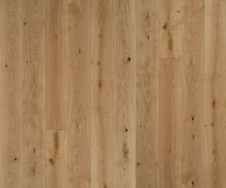 V4 VIT303 Vittoria Plank Oak Lacquer 5G